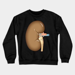 human Kidney anatomy Crewneck Sweatshirt